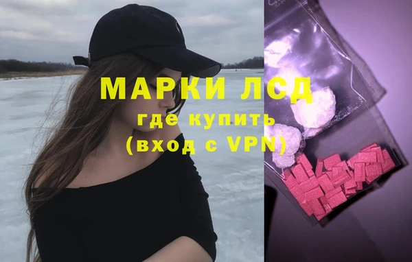 прущие грибы Вяземский