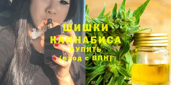 стафф Заполярный
