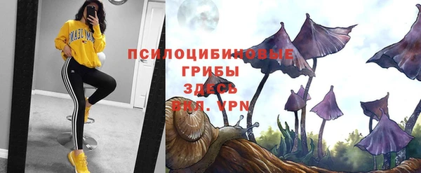 круглые Покровск