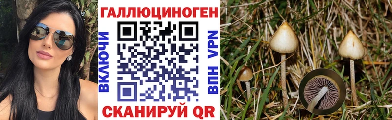 Псилоцибиновые грибы Cubensis  где можно купить   Иннополис 
